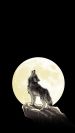 Wallpaper Wolf-Moon 1080x1920.jpg
